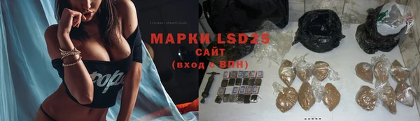 2c-b Горнозаводск