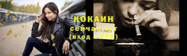 PSILOCYBIN Горно-Алтайск