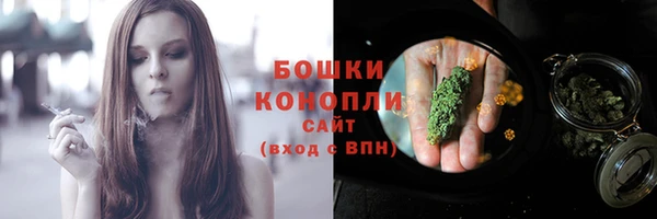 2c-b Горнозаводск