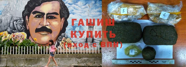 PSILOCYBIN Горно-Алтайск