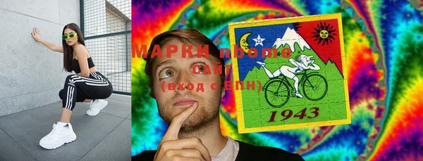 PSILOCYBIN Горно-Алтайск