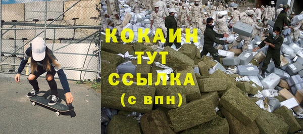 mdpv Тайга