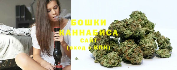 стаф Тавда