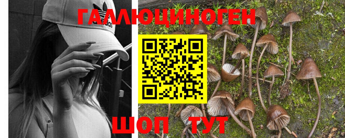 Псилоцибиновые грибы Magic Shrooms Дубна