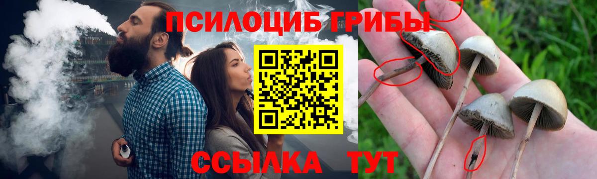 Дубна  Галлюциногенные грибы Psilocybine cubensis  Вход с VPN  Галлюциногенные грибы мухоморы 
